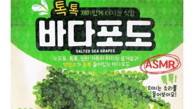 싱싱한 바다의 맛! 착한 가격에 득템한 바다포도 후기💖