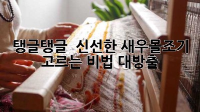 탱글탱글 🦐 신선한 새우몰조기 고르는 비법 대방출! ✨
